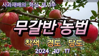 [사과재배] 사과재배의 혁신인가/대안을 제시한다/체계적 비배관리로 뜨거움을 이겨내다
