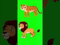 Lion And Tiger Walking Green Screen 2dcartoonvideo Greenscreen