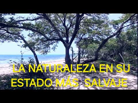 Él Rincón de Guanabo : La ÚLTIMA PLAYA SALVAJE de la HABANA 🇨🇺