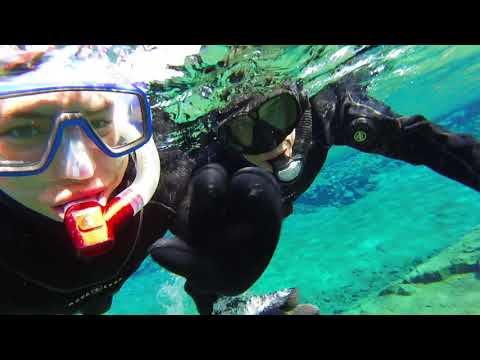 Alexander Moran video