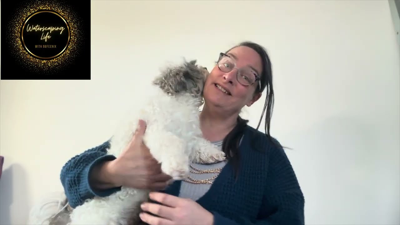 Bee Happy Session 2: When life gives you lemons…