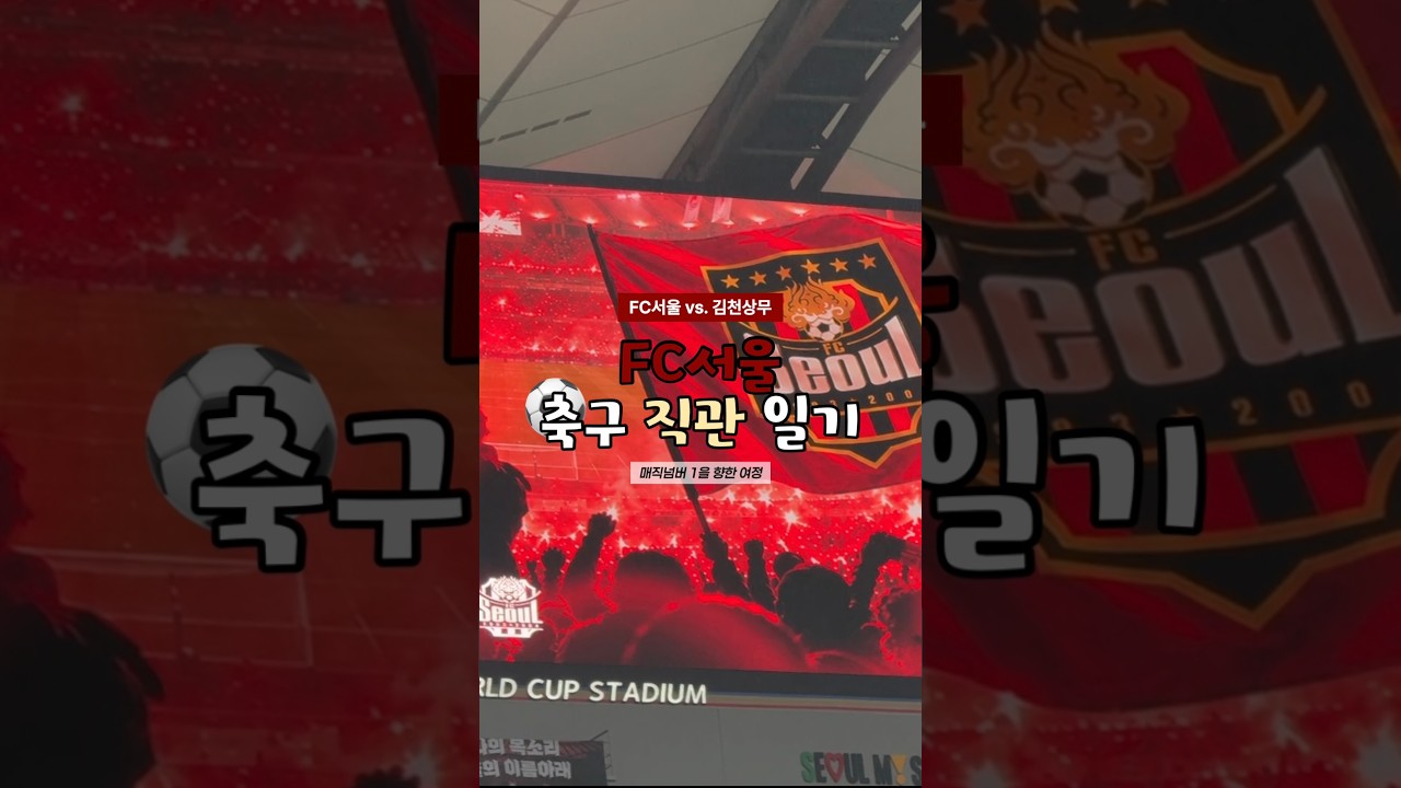 [K리그 직관일기] FC서울 vs. 김천상무| 261018 | 매직넘버 줄이러 가보자고 #직관일기 #K리그 #FC서울 #축구 #축구직관 #브이로그 #직관브이로그