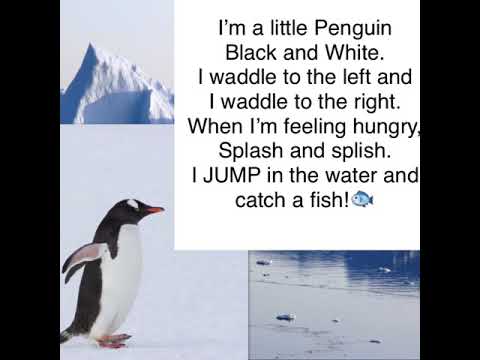 I’m a Little Penguin