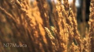 Gemma Hayes - Wicked Game