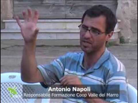 Lezioni di mafia - Coltivare la legalità 2