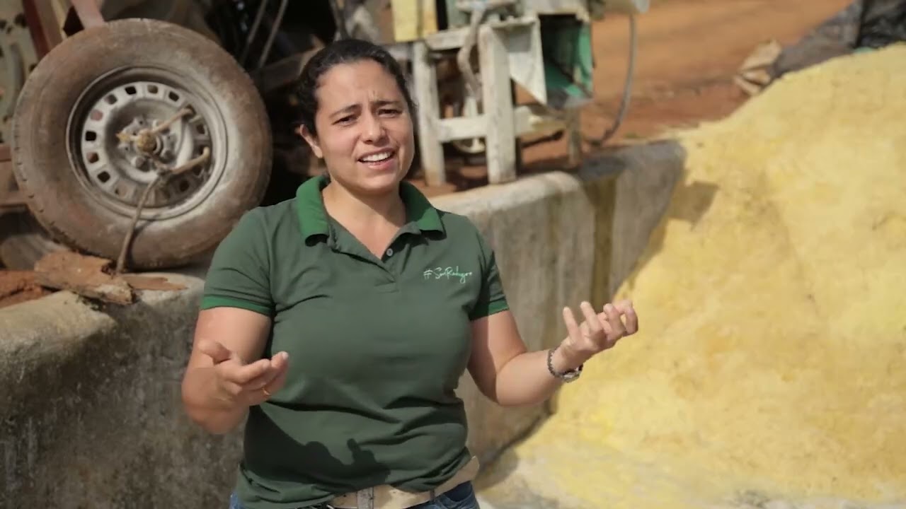 Benefícios do Milho Reidratado