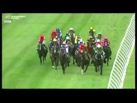 2019 WRC Wellington Cup Day Feature Races