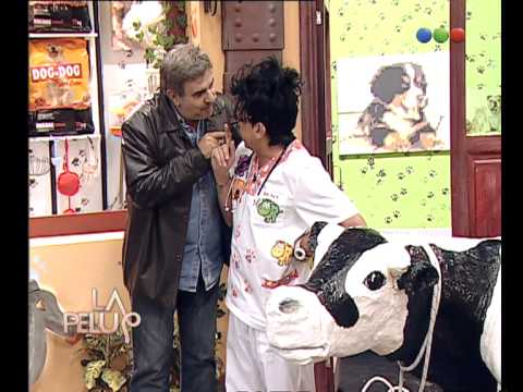 Miguel Ángel Rodríguez y Su Vaca - Parte 2 - La Pelu