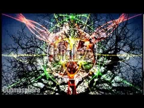 Dubmosphere || Niqlez