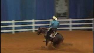 Nothing But a Good Ride - Todd Arvidson