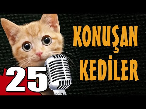 Konuşan Kediler 25 - En Komik Kedi Videoları