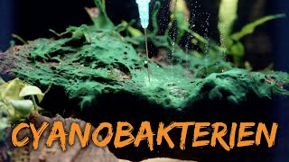 Miniatura filmu z YouTube