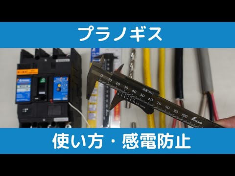 テトラコッカス・ディオイクス