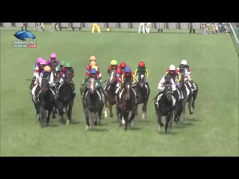 2017.05.28 Tokyo Yushun (Japanese Derby) - Rey de Oro