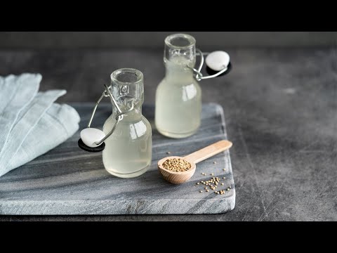 How to Make Rejuvelac  | Avoid These Mistakes