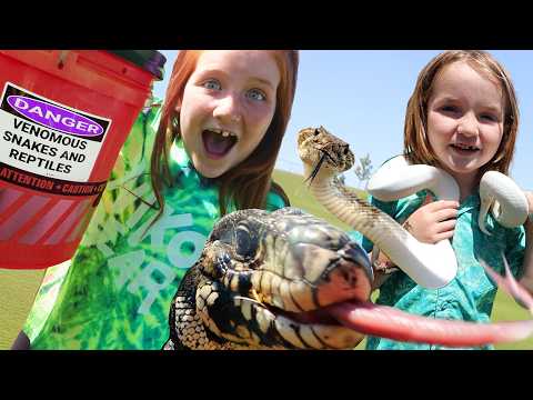 NiKO’S 7th BiRTHDAY!! catching WiLD ANiMALS on pirate island with Adley, Navey, Pirates and Friends