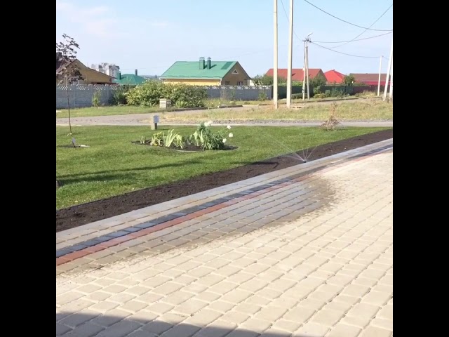 Озеленение в городе Белгороде