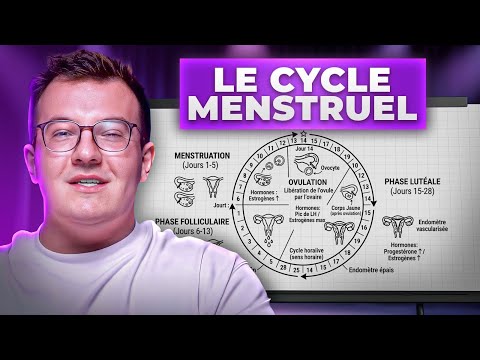 15 minutes pour comprendre le cycle menstruel chez la femme