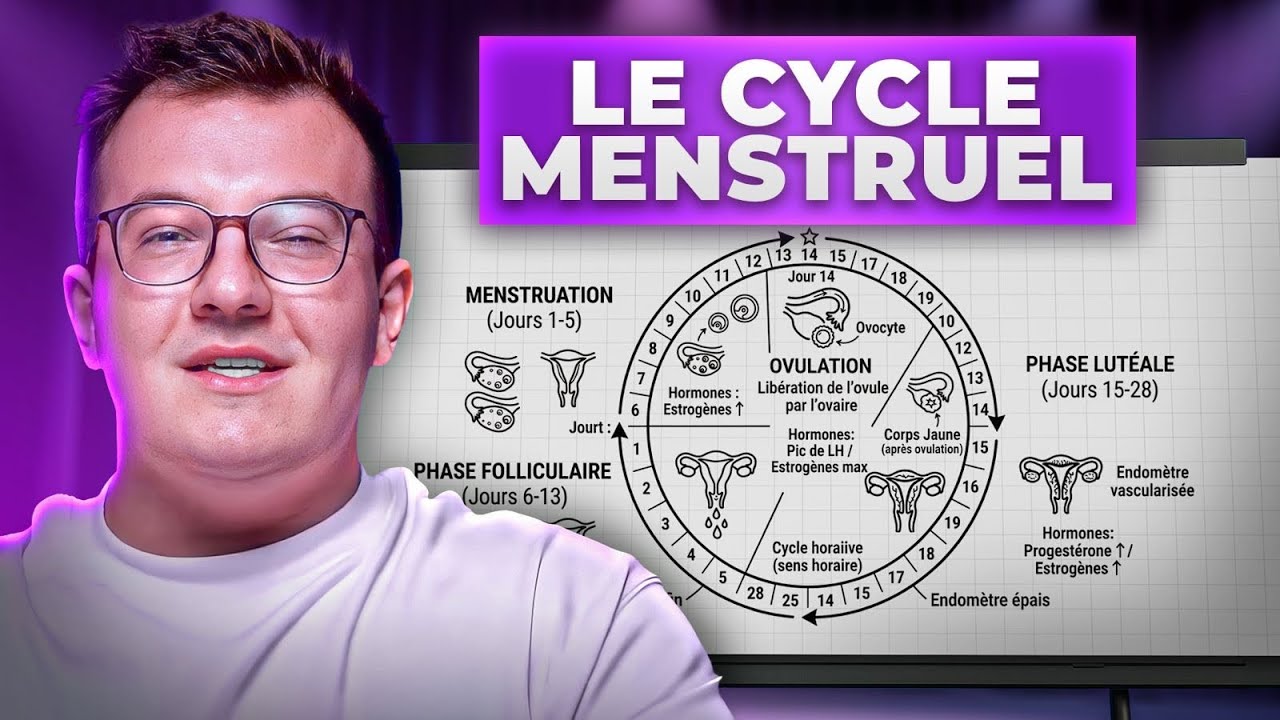 15 minutes pour comprendre le cycle menstruel chez la femme