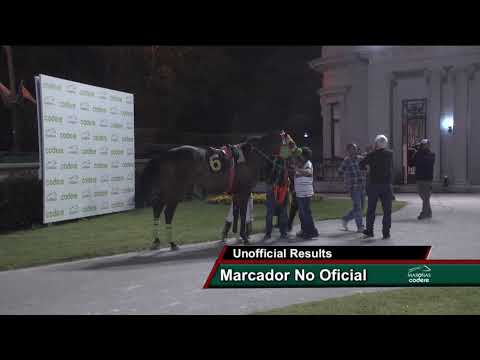 DOMINGO 10/11/2019 HIPODROMO DE MARONAS