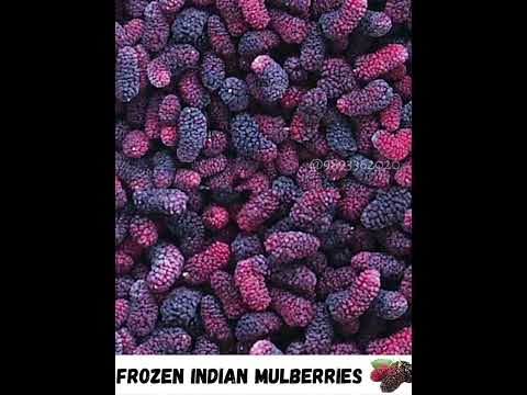 Frozen indian mulberry