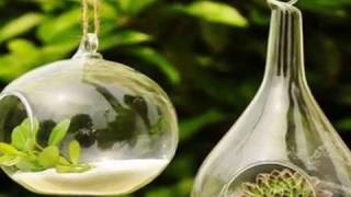 20 Hanging Glass Terrarium Ideas