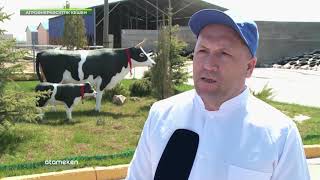 Жаңа технологиялар. Цифрландыру