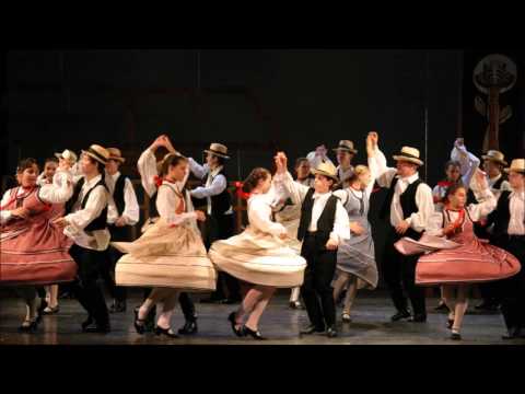 Palatkai - Magyar (mezőségi) népzene