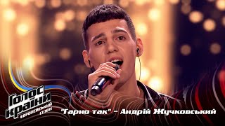 Andrii Zhuchkovskyi — Harno tak — Blind Audition — The Voice Show Season 13