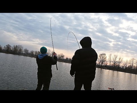 Šaran na Bučinu Pogaču - ZIMSKI FEEDER RIBOLOV