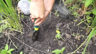 preview picture of video 'Tomato Jos - Soil Analysis 101'