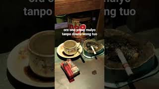 Download lagu story wa kopi dan rokok #shortvideo #shorts #fyp #fypシ mp3