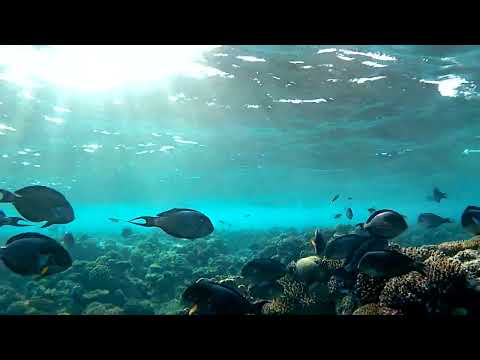 20170107 172701A   Trim