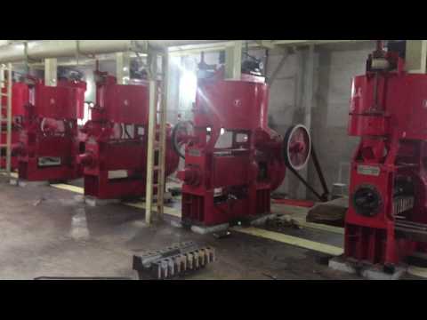 Showing the industrial oil press machine in the oil mill pla...