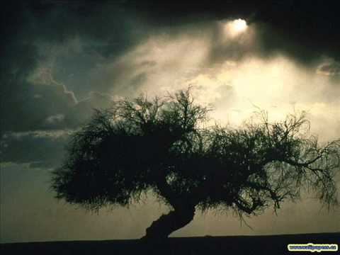 Puiu Chibici - Era de-ajuns pacatul meu