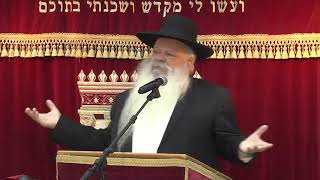 ההתמדה היא סוד ההצלחה | הרב דניאל זר