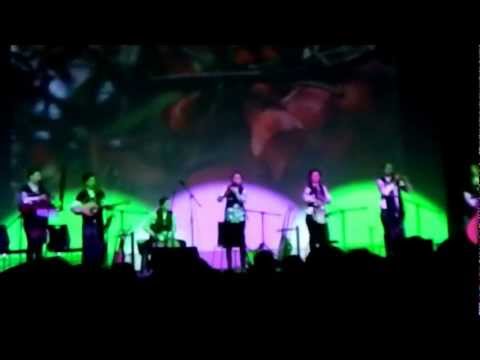 TSU gordela- solo koncerti