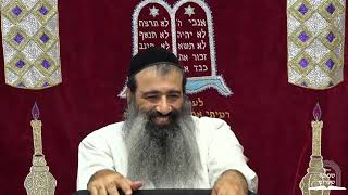 תהליך הבירור הוא במחשבה של המחשבה  | הכניסה לעולם הקבלה חלק 28 | הרב מאיר מועלם