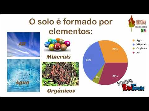 O que é Microbiologia do Solo?
