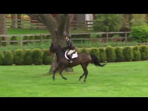 Video of UNIQUE ridden by MEGHAN KANZ from ShowNet!
