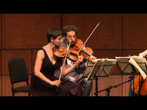 Beethoven String Quartet Op. 18 No. 4 in C Minor, I: Allegro, ma non tanto - Ariel Quartet (excerpt)