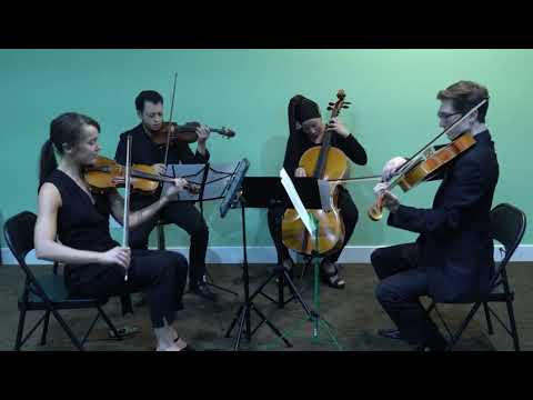 Promotional video thumbnail 5 for Classic-Jazz Cellist