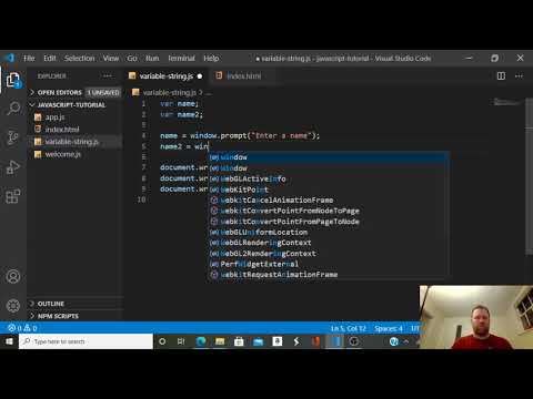 Getting A User Prompt For A Javascript String Variable
