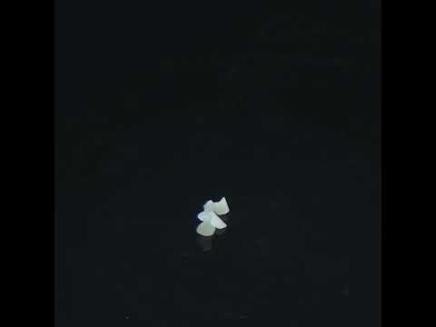 YouTube 썸네일