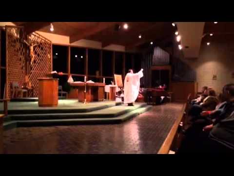 Homilia Padre Fabricio 11/02/2014