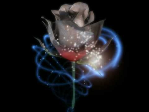 rose change