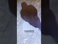 Man met HAKMES overvalt supermarkt  | #shorts