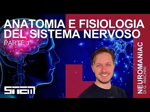 Anatomia e fisiologia del Sistema Nervoso Pt. 1 - NeuroManiacs