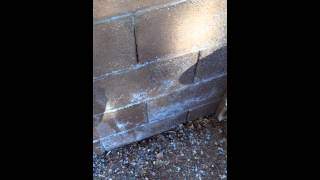 How To Remove White Deposits From Fence Part 1