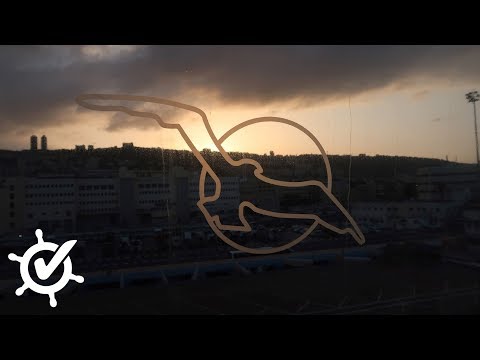 MS Amadea: Fazit meiner ersten Kreuzfahrt mit Phoenix Reisen